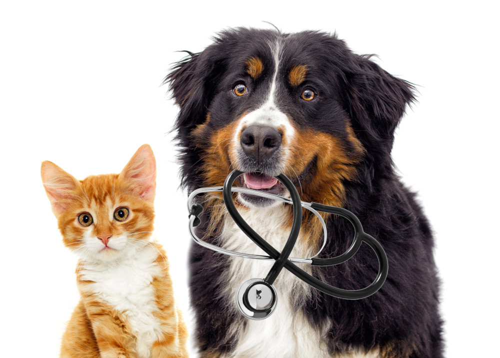 Packaging Professionals - Veterinary and Pet Care